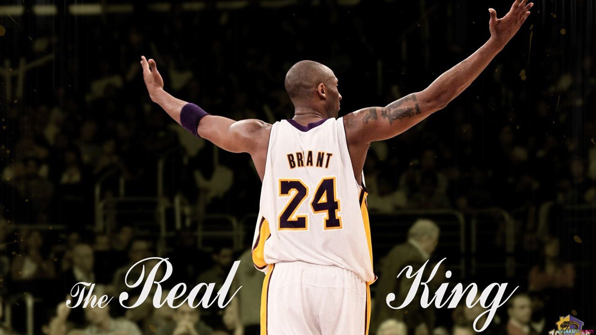 _全球直播盛宴：边看比赛边互动娱乐_，看全球直播软件